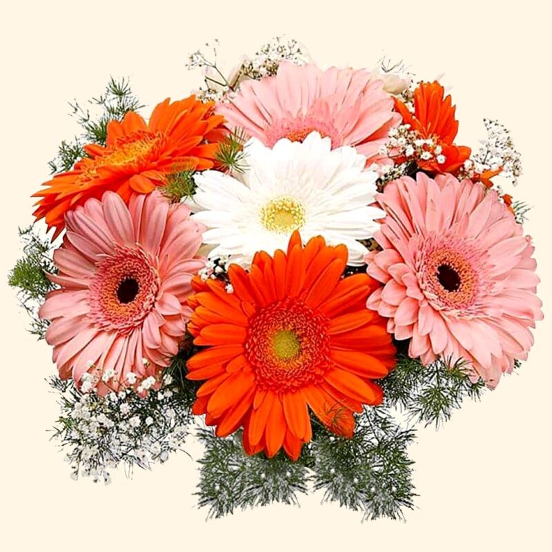 bouquet gerbere miste consegna a domicilio a Roma