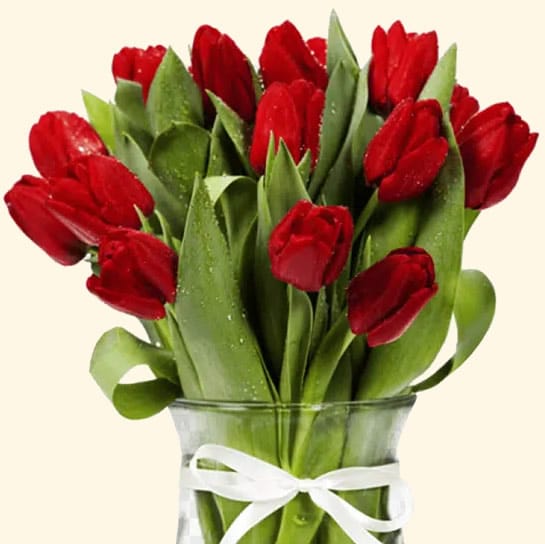 Bouquet di 20 tulipani rossi consegna a domicilio a Roma