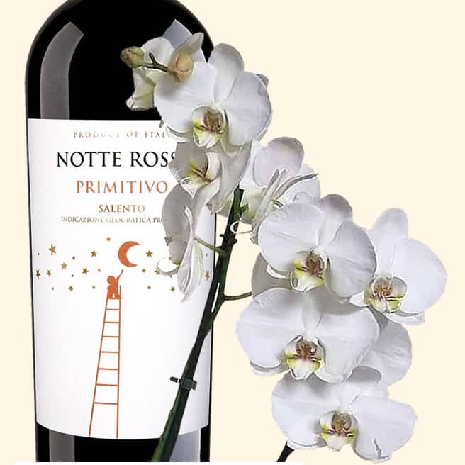 Orchidea Phalaenopsis Bianca + Bottiglia di Primitivo Notte Rossa