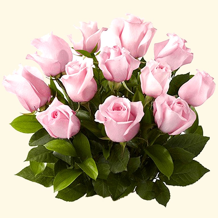 Bouquet di 12 Rose Rosa. Consegna a domicilio Rose Fresche a Roma