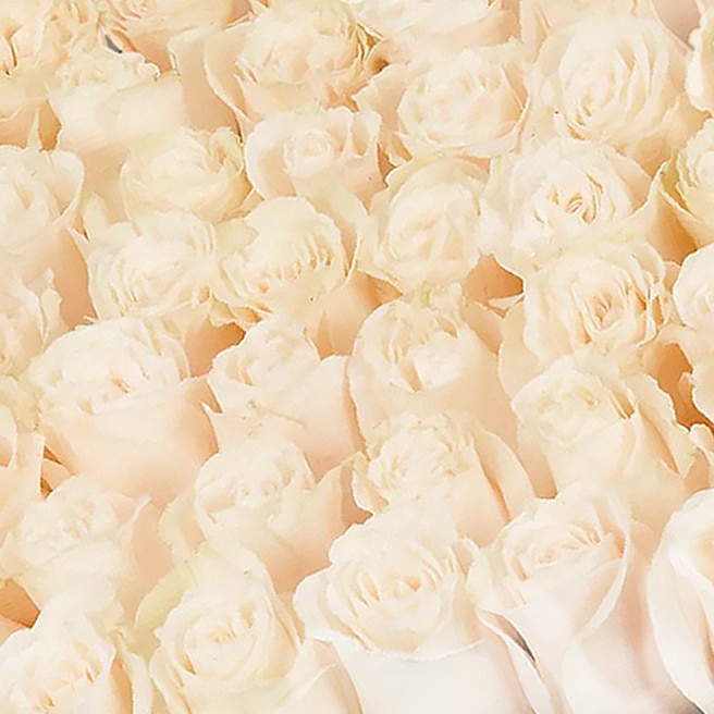 Flower delivery in Rome-Flower Box con Rose bianche