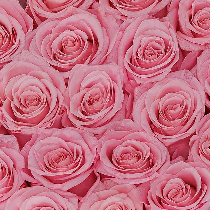 Flower delivery in Rome-Flower Box nera con Rose rosa