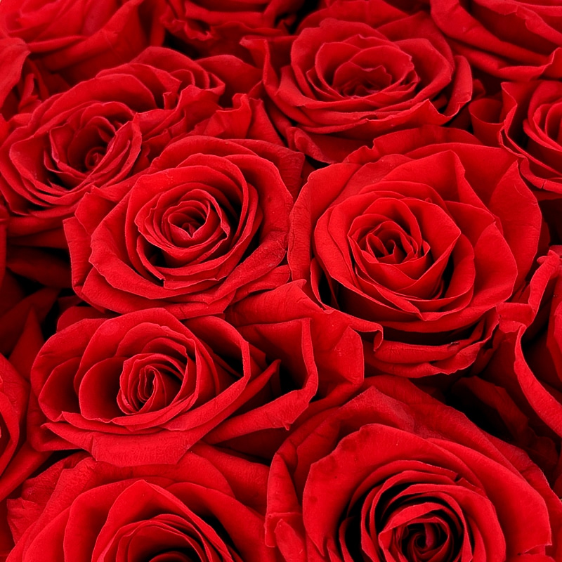 Flower delivery in Rome-Flower Box red roses