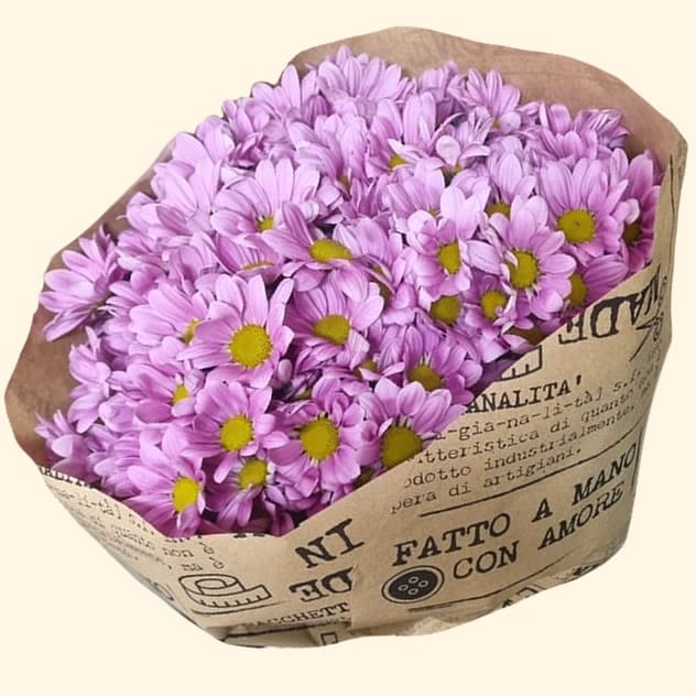 Grande Bouquet di 10 rami di San carlino rosa Consegna a domicilio a Roma