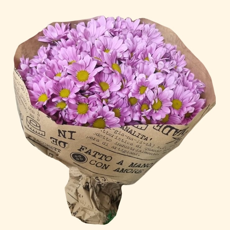 Grande Bouquet di 10 rami di San carlino rosa Consegna a domicilio a Roma