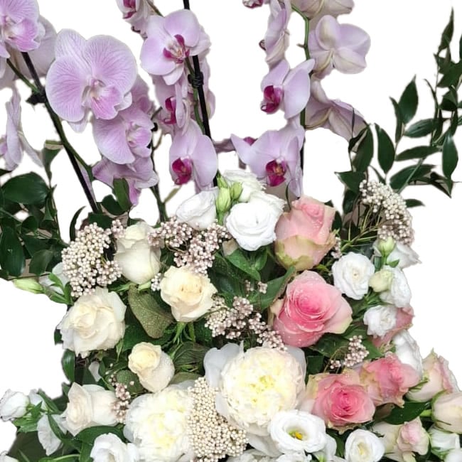 Composizione di Orchidee e Fiori misti, consegniamo a domicilio a Roma