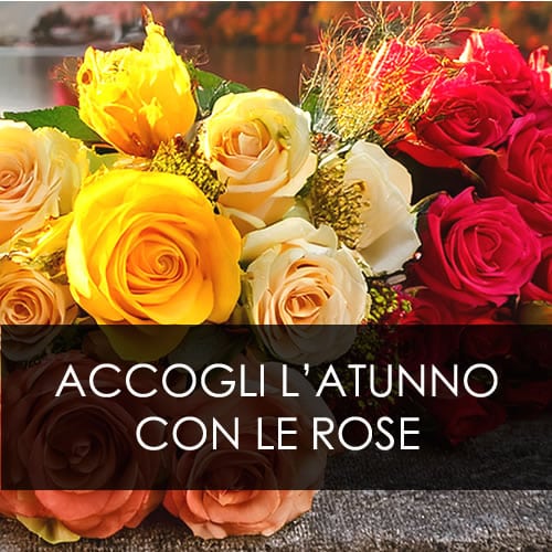 Romainfiore - Consegna veloce in giornata a domicilio di Piante e Fiori a Roma