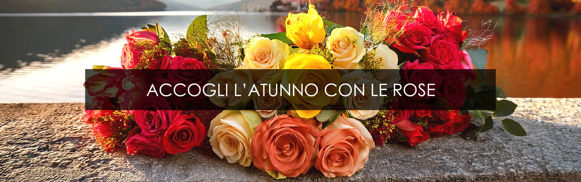 Romainfiore - Consegna veloce in giornata a domicilio di Piante e Fiori a Roma