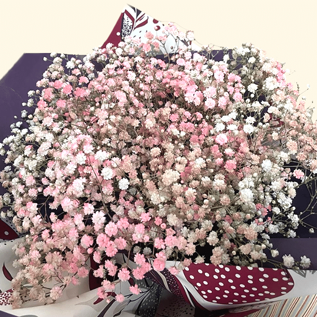 Flower delivery in Rome - Bouquet di Nebbiolina rosa