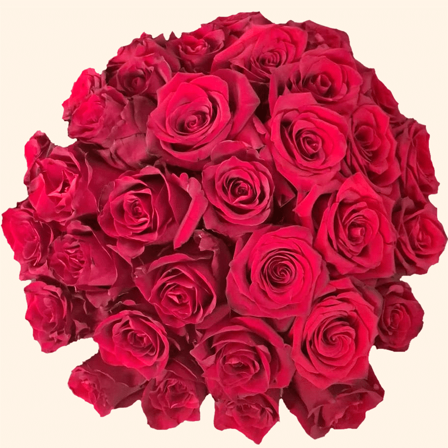 Flower Box Luxury con 30 Rose fresche consegna a domicilio a Roma